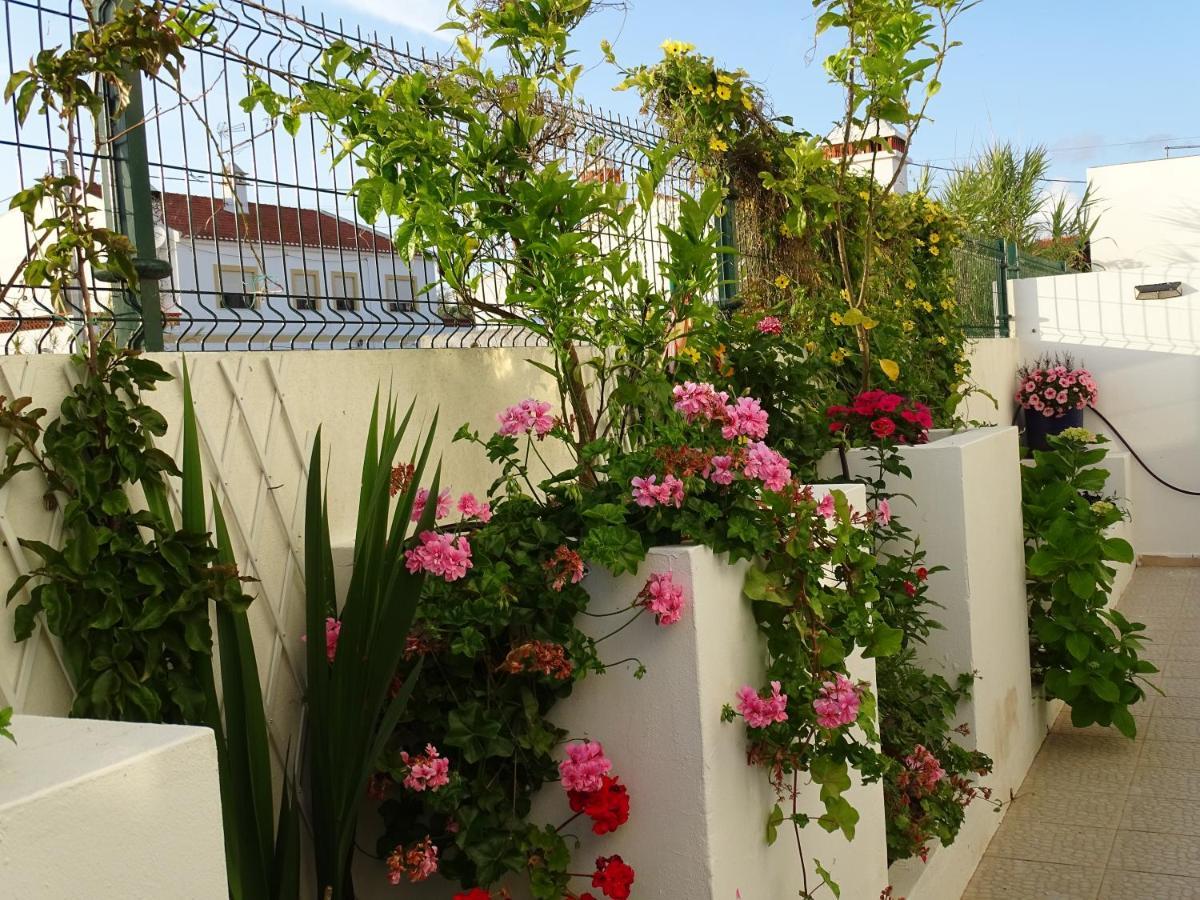 Casa Dos 2 Patios By Stay In Alentejo Vila Nova de Milfontes Ngoại thất bức ảnh